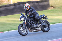 Evening Low_Mid Group Black Bikes